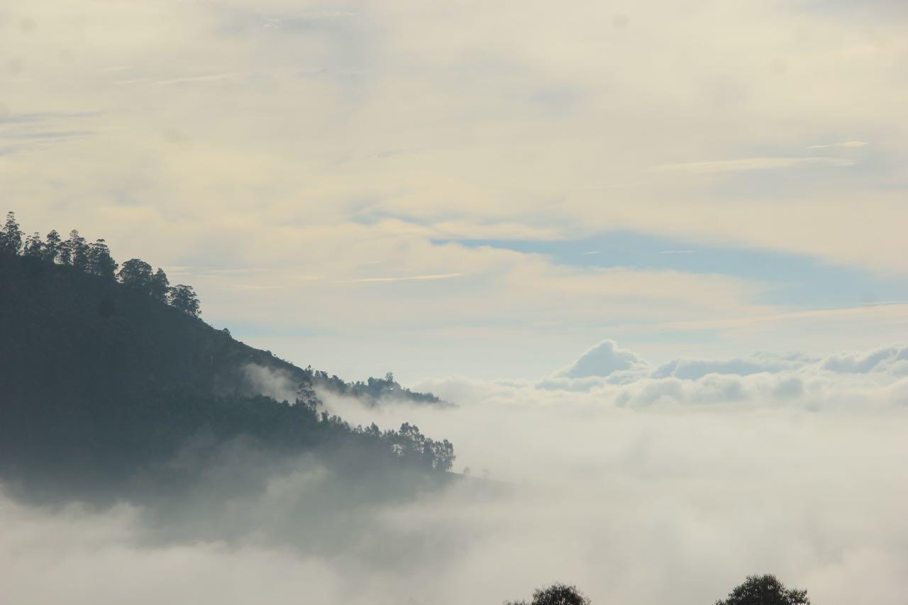 Hide Away Cottages Ooty Kültér fotó